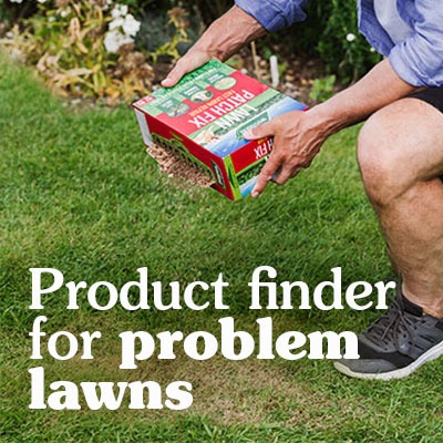 <h3><span style="color: #f9f9df;"><strong>Solve Your Lawn Problems</strong></span></h3>