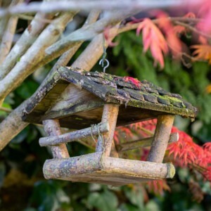 bird house in tom allen garden