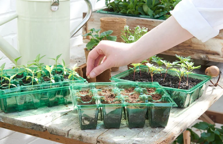 april seeds to sow