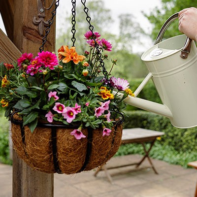 <h2><span style="font-size: 12pt; color: #ffffff;"><strong>Caring for Pots, Baskets & Containers</strong></span></h2>