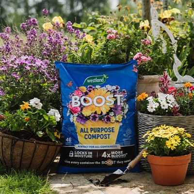 <h2><span style="font-size: 12pt; color: #ffffff;"><strong>How to Plant Beautiful Containers</strong></span></h2>