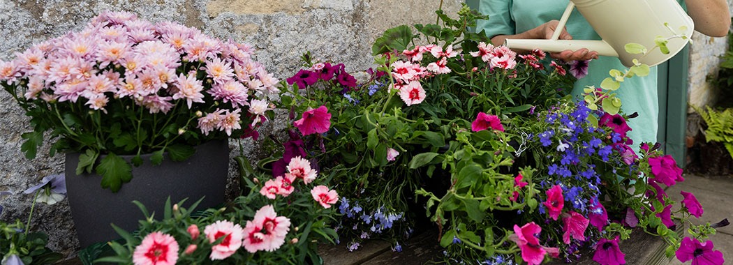 Essential Gardening for May