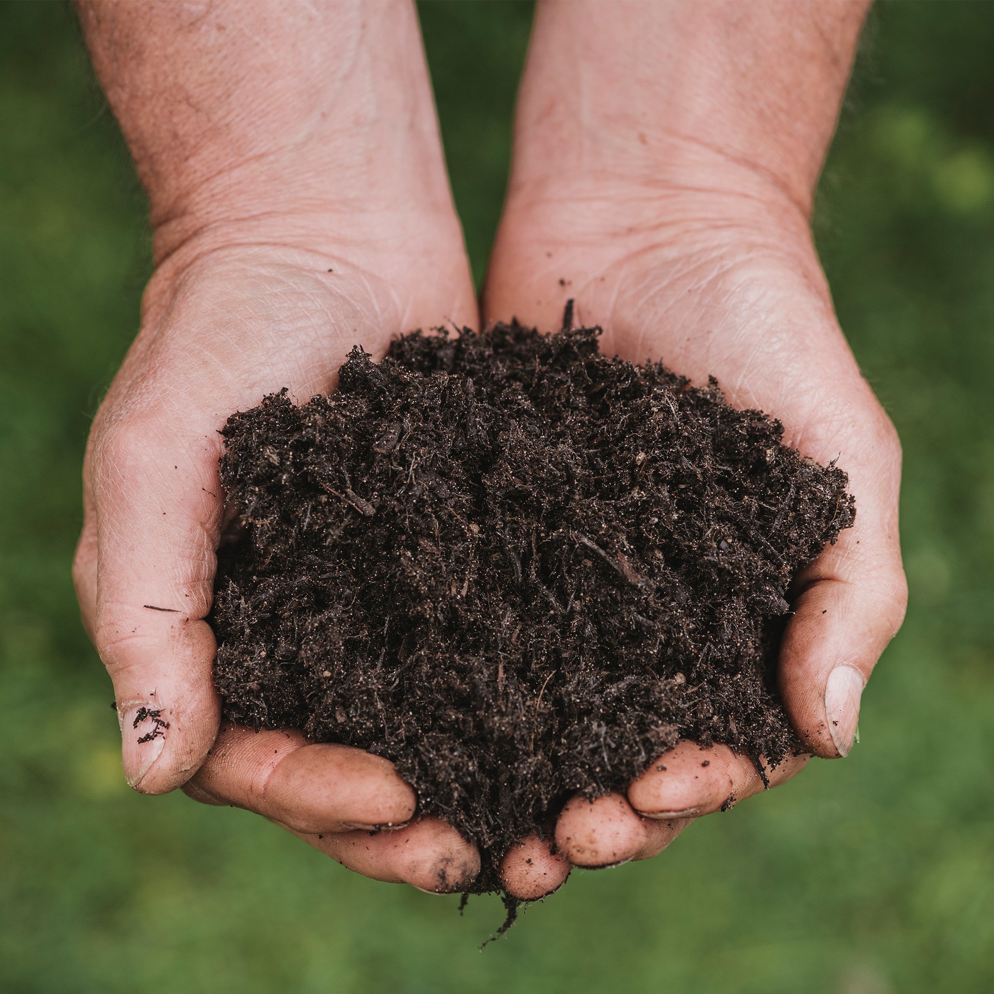 <h2><span style="font-size: 12pt; color: #ffffff;"><strong>Tips for Using Peat Free Compost</strong></span></h2>