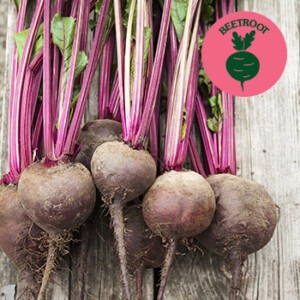 beetroot