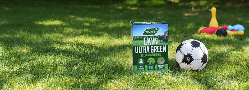 Get your garden ready for entertaining