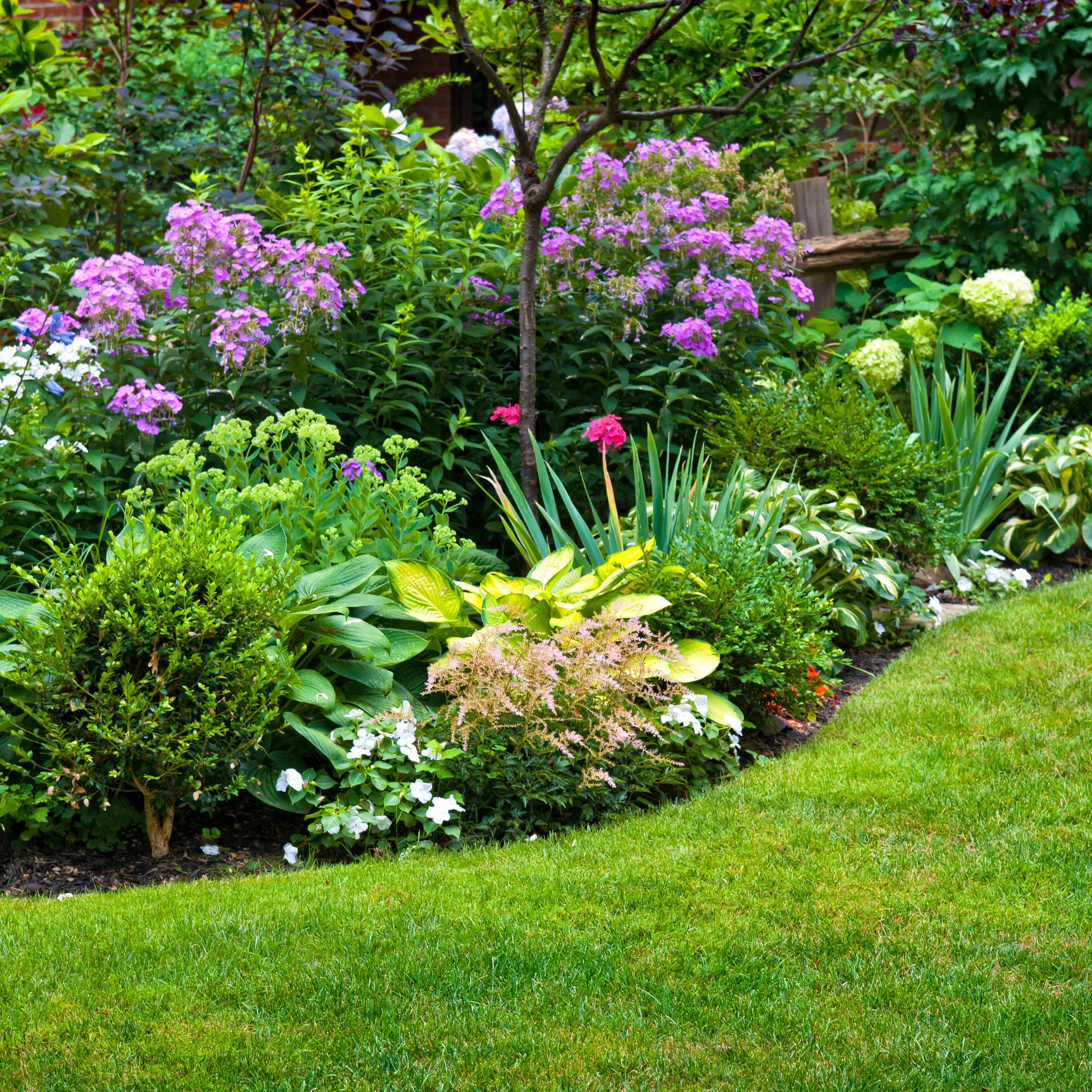 summer perennial border