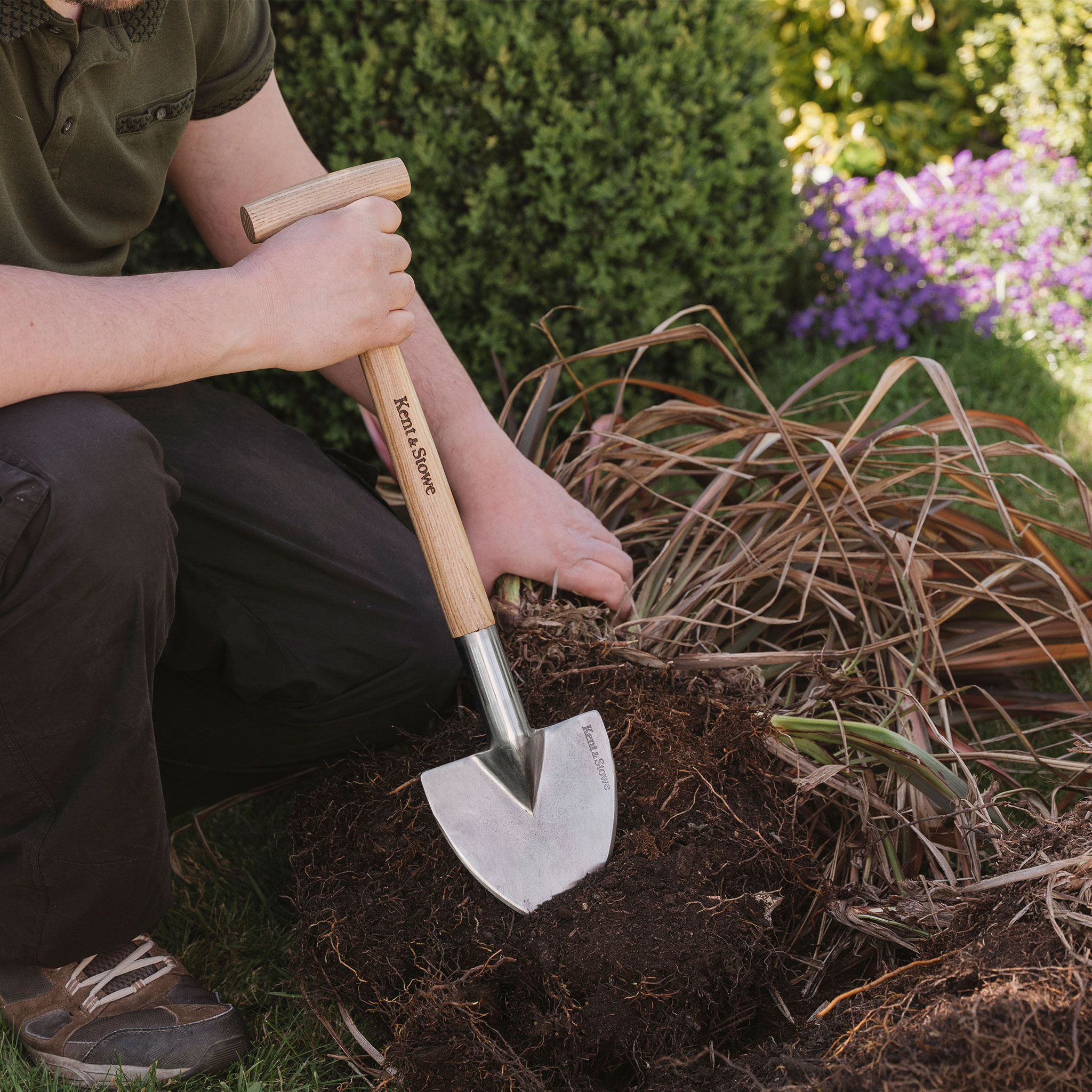 splitting perennials