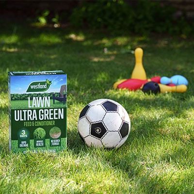 Get your garden ready for entertaining