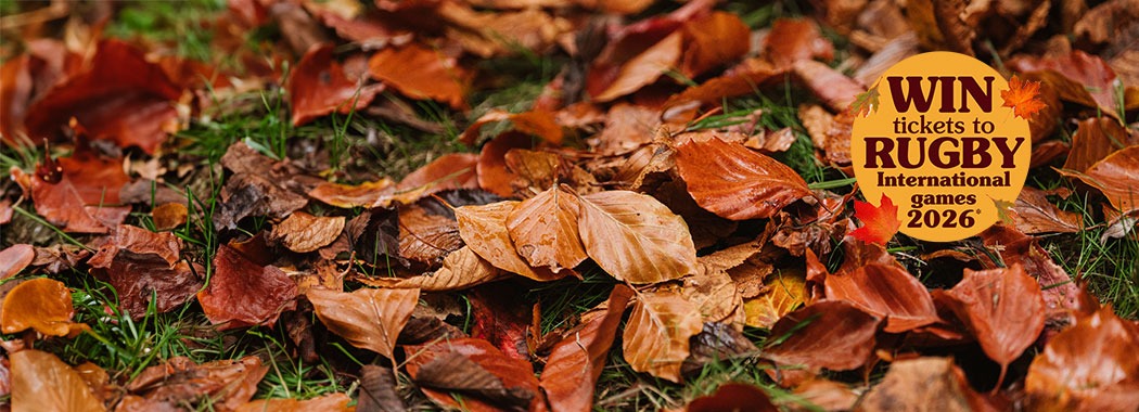 The best spring lawns start in autumn