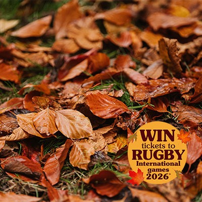 The best spring lawns start in autumn