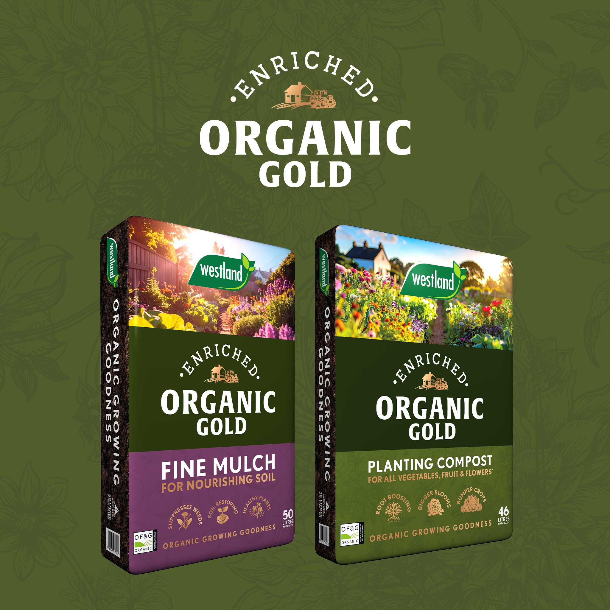 <h2><span style="font-size: 12pt; color: #ffffff;"><strong>Organic Gold</strong></span></h2>
