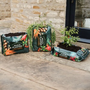 westland multi-planter on patio