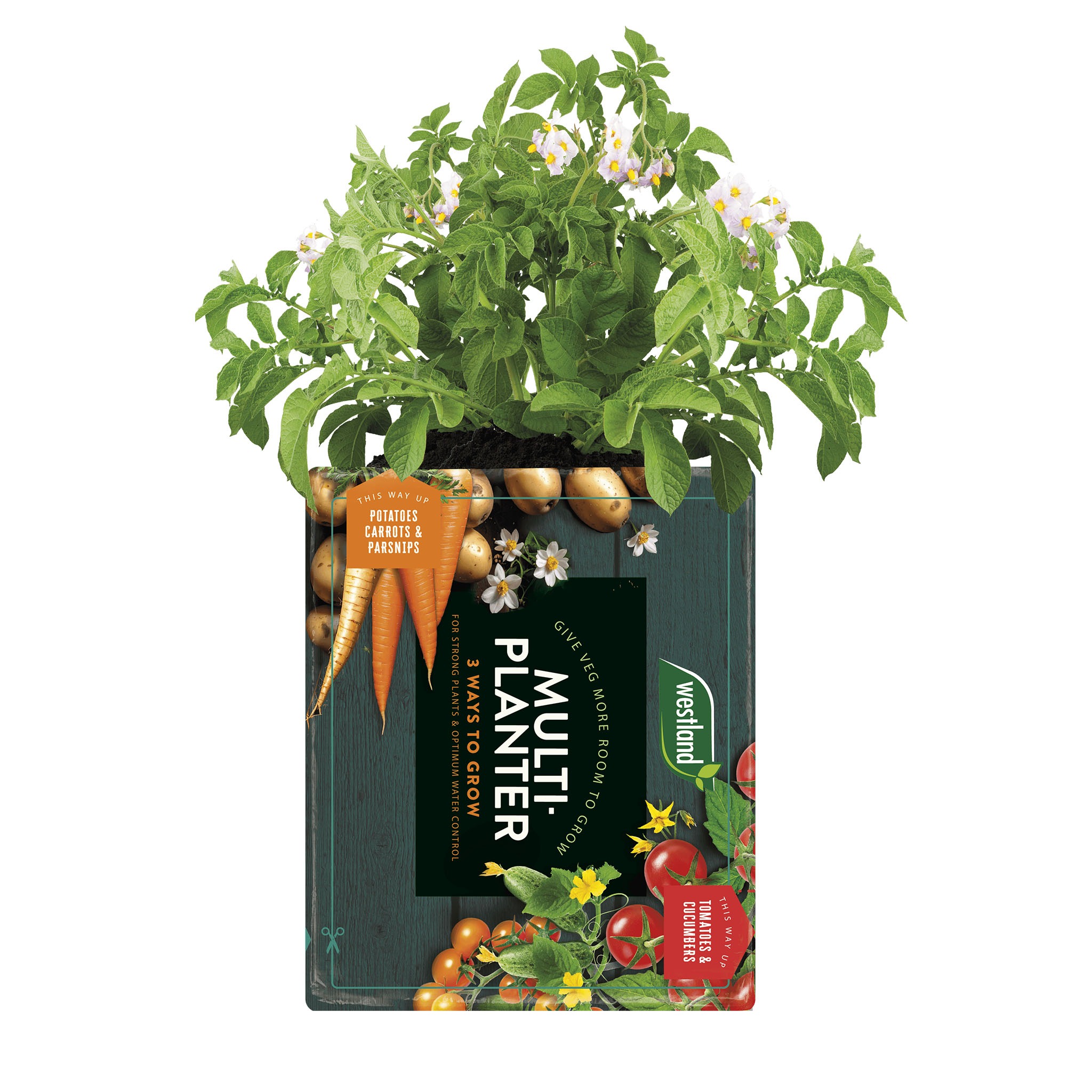 westland multi-planter growbag with potatoes