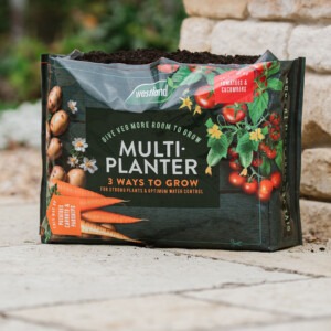 westland multi-planter on patio