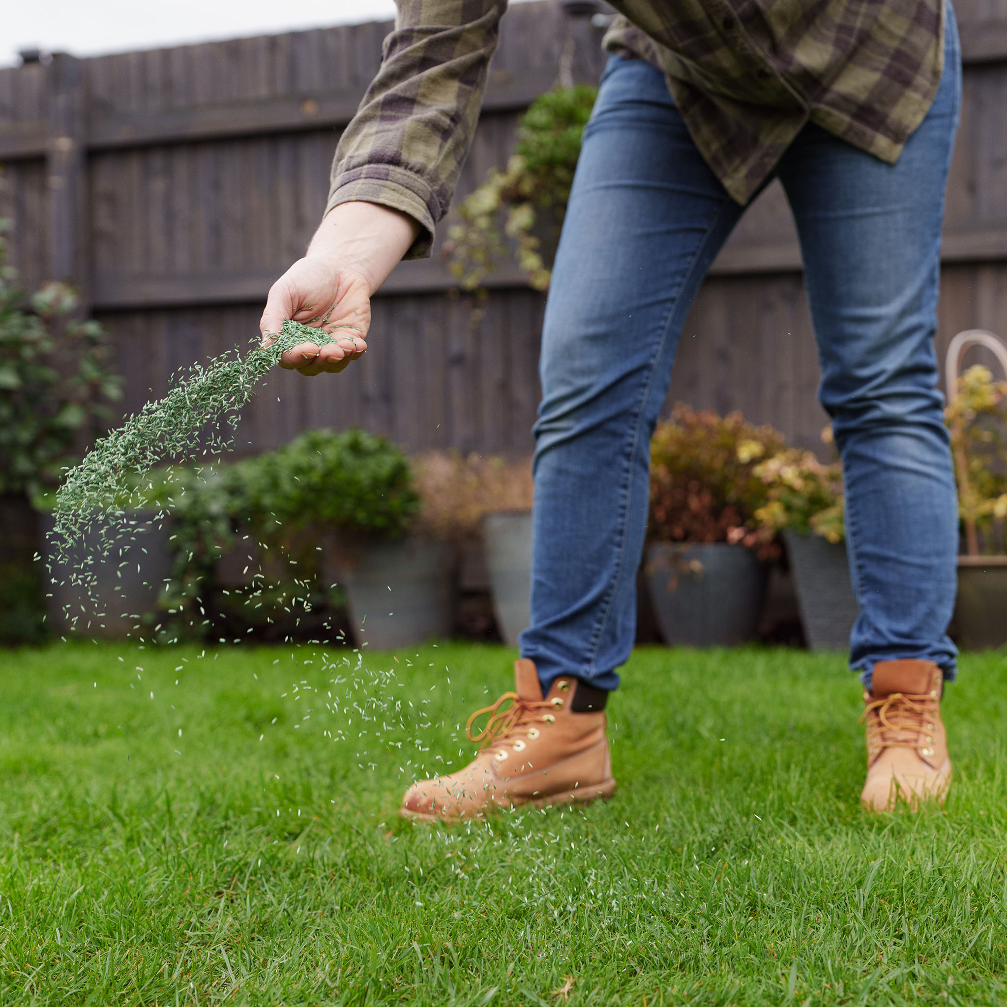 <h2><span style="font-size: 12pt; color: #ffffff;"><strong>How to Overseed an Existing Lawn</strong></span></h2>