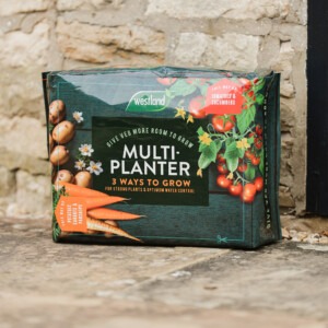 westland multi-planter on patio