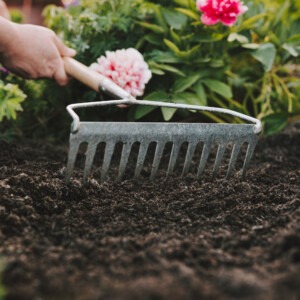 westland organic gold mulch with rake