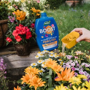 Boost Pour & Feed in situ