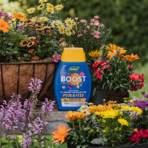 Boost Pour & Feed in situ