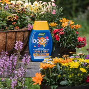 Boost Pour & Feed in situ