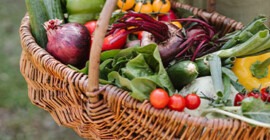 How to Grow your Own in a Multi-Planter Growbag