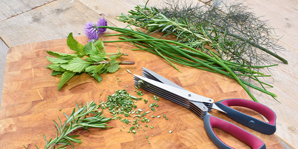 Herbs on chopping board