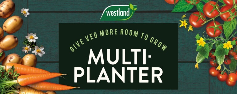 westland multi-planter banner