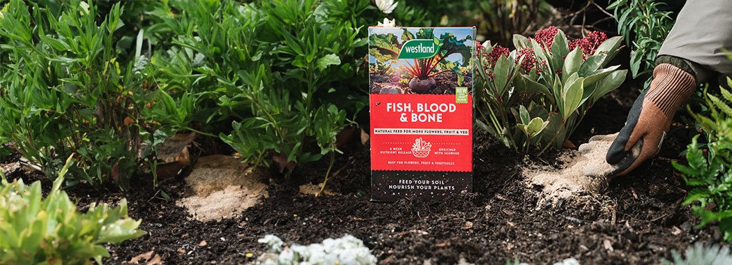 Feed your soil for more flowers, fruit and veg... 