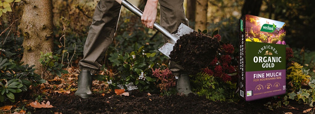 Your Guide to Mulching