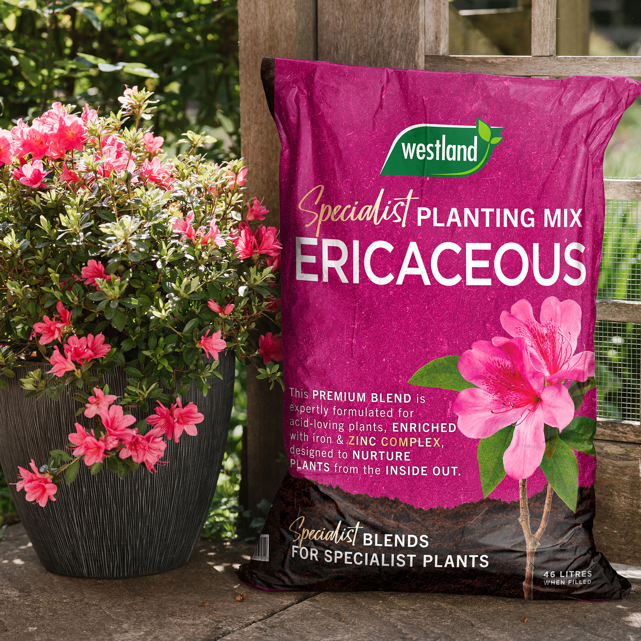 <h2><span style="font-size: 12pt; color: #ffffff;"><strong>Understanding Ericaceous Compost</strong></span></h2>