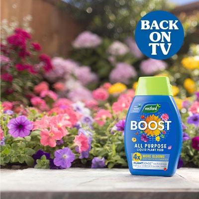 4x more blooms* all summer long
