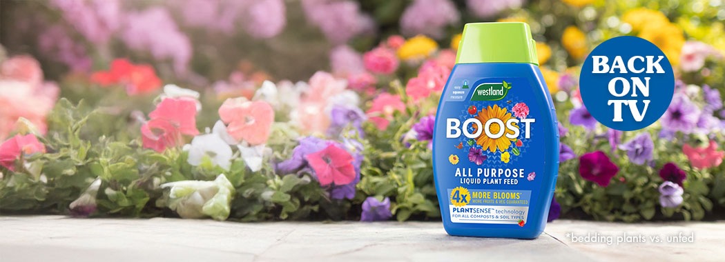 4x more blooms* all summer long