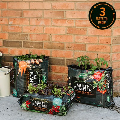 3 ways to grow with the Westland Multi-Planter