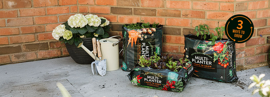 3 ways to grow with the Westland Multi-Planter
