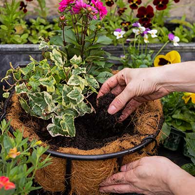 Choosing the right compost and how much you need