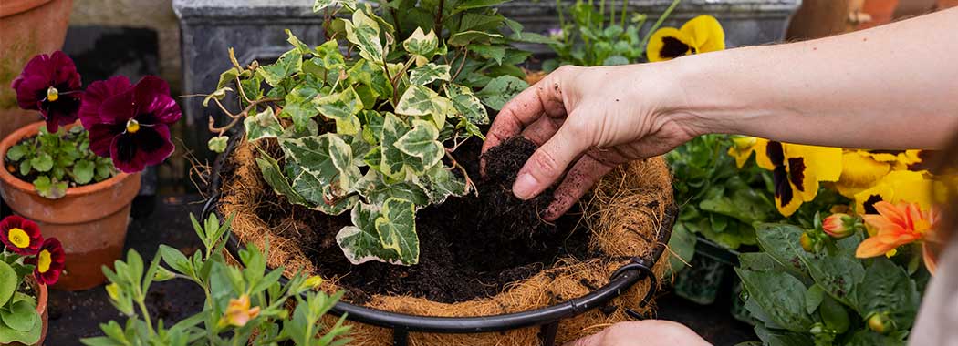 Choosing the right compost and how much you need